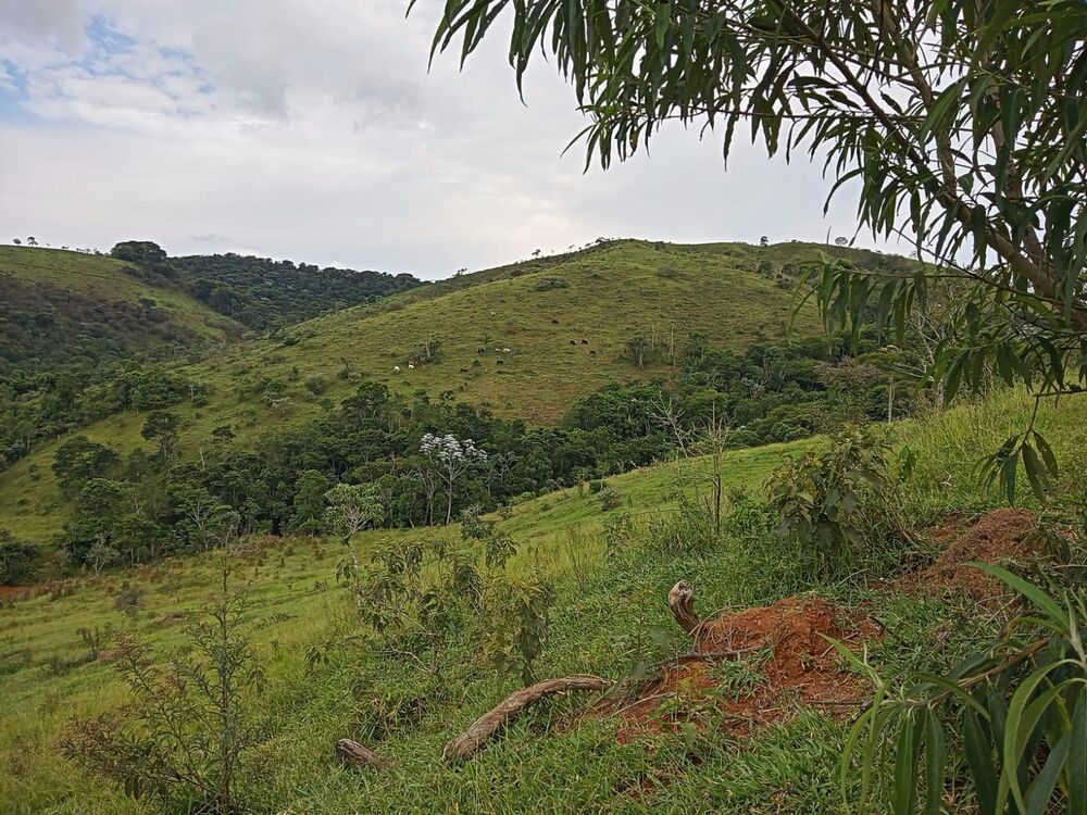 Fazenda, 8 m² - Foto 3