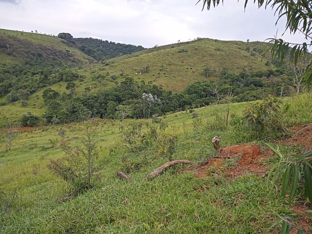 Fazenda, 8 m² - Foto 4