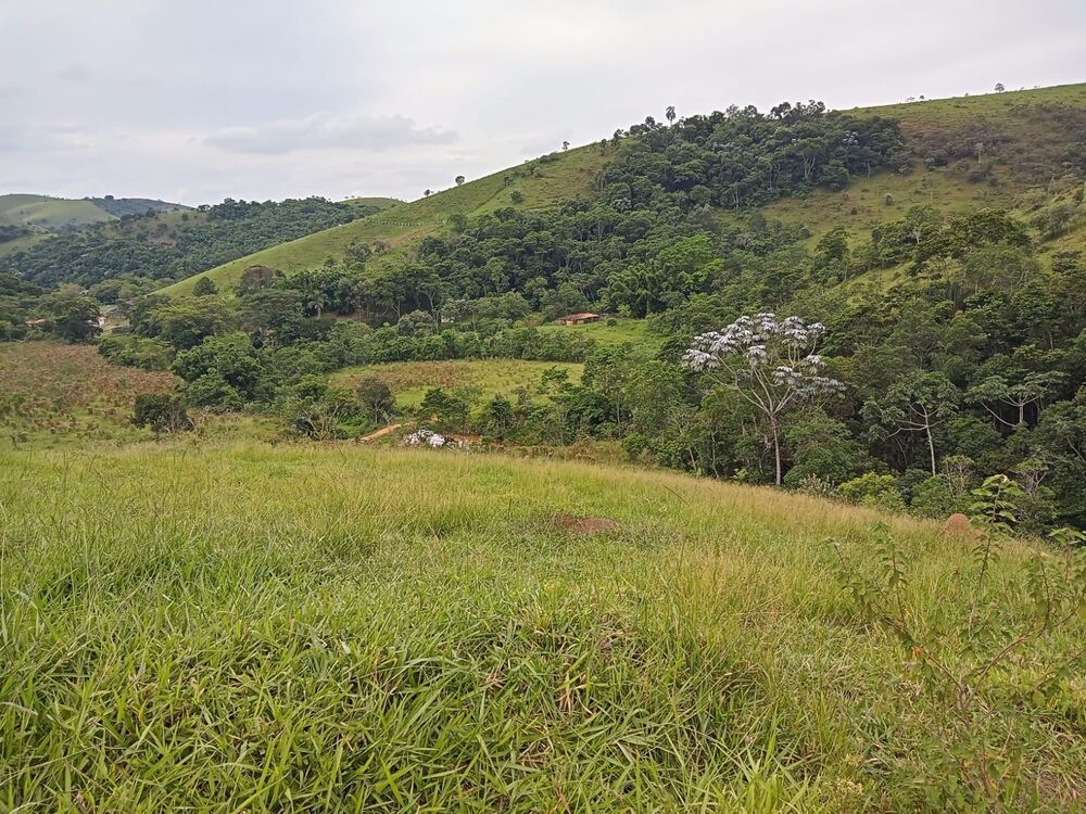 Fazenda, 8 m² - Foto 1