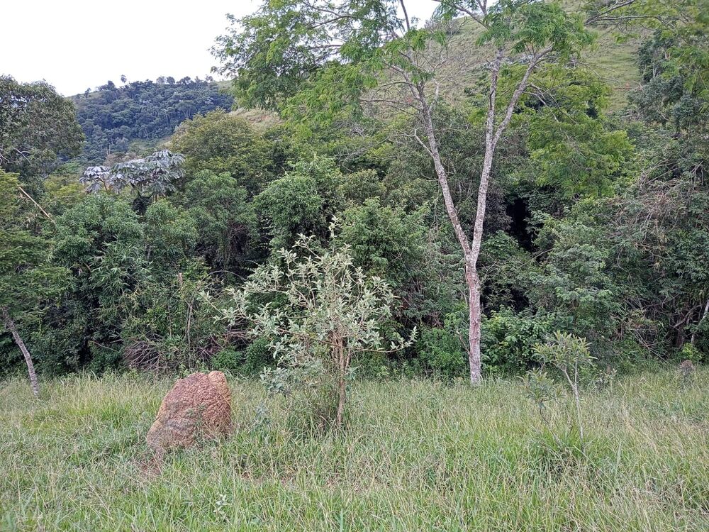 Fazenda, 8 m² - Foto 20