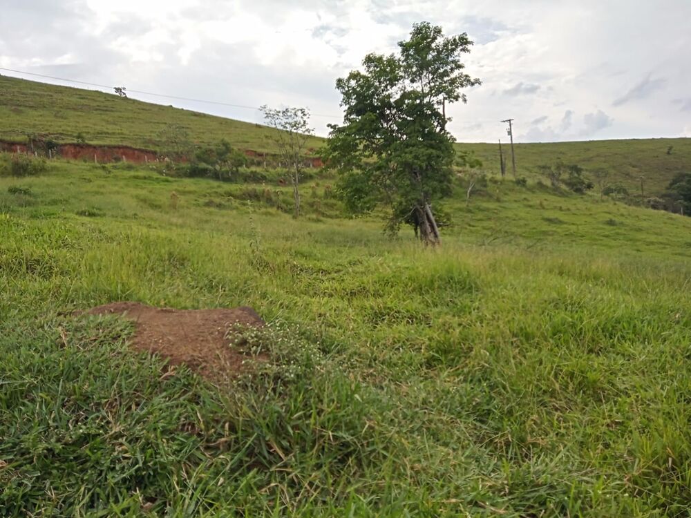 Fazenda, 8 m² - Foto 11