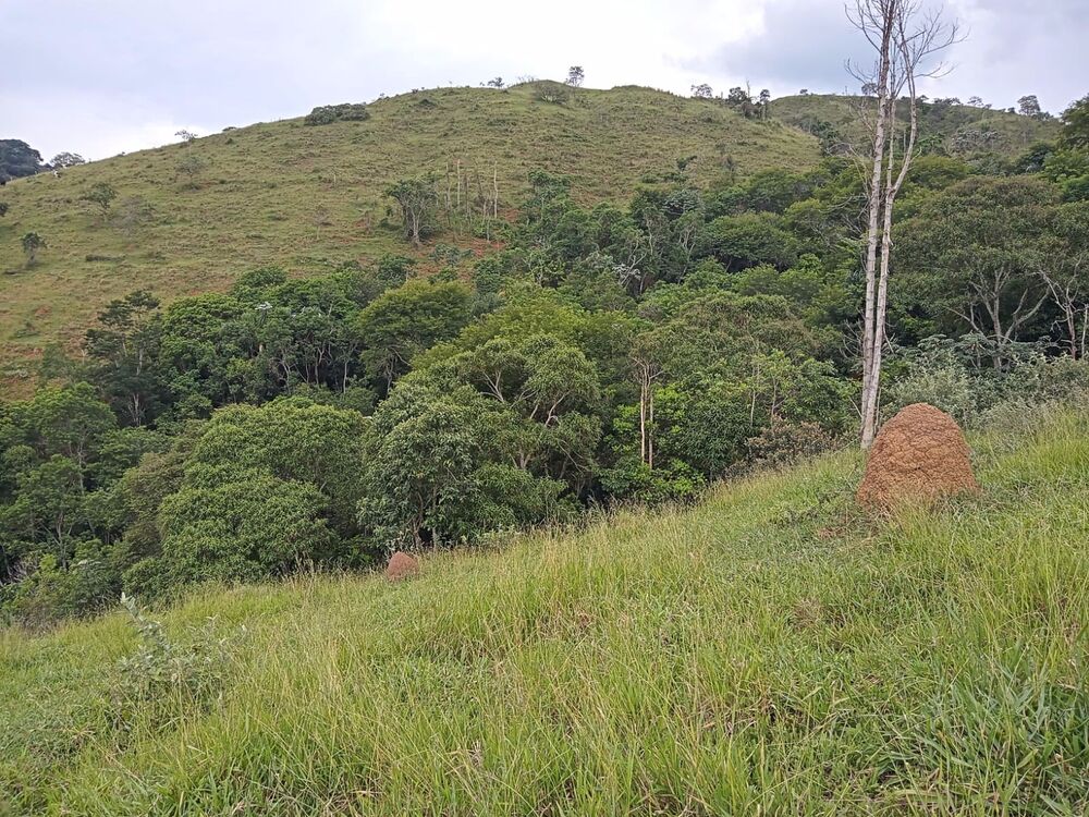 Fazenda, 8 m² - Foto 6