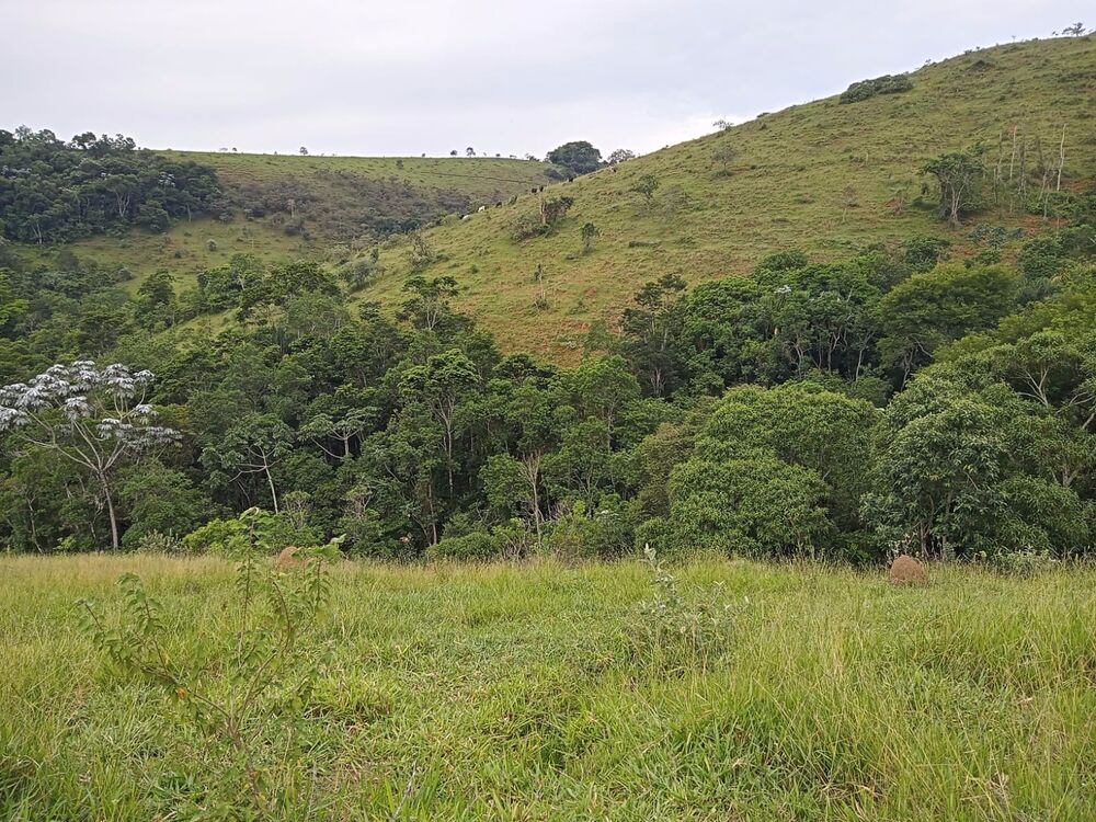 Fazenda, 8 m² - Foto 5