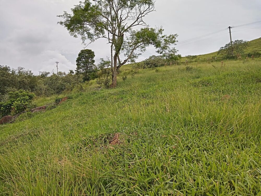 Fazenda, 8 m² - Foto 8