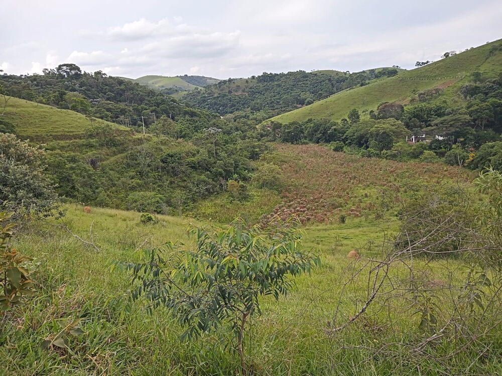 Fazenda, 8 m² - Foto 7