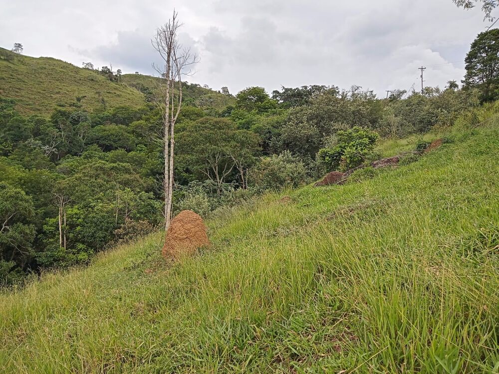 Fazenda, 8 m² - Foto 9