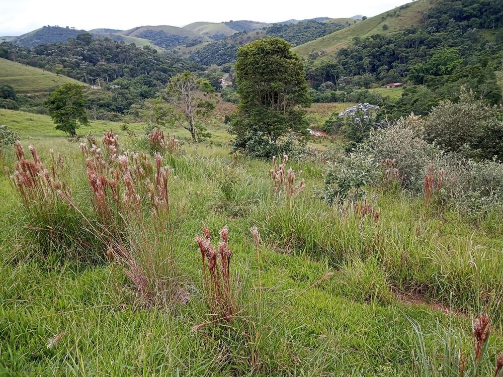Fazenda, 8 m² - Foto 15
