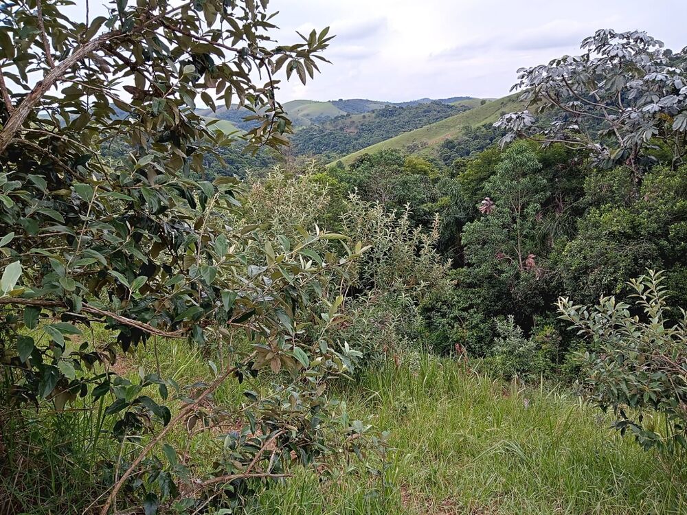 Fazenda, 8 m² - Foto 16