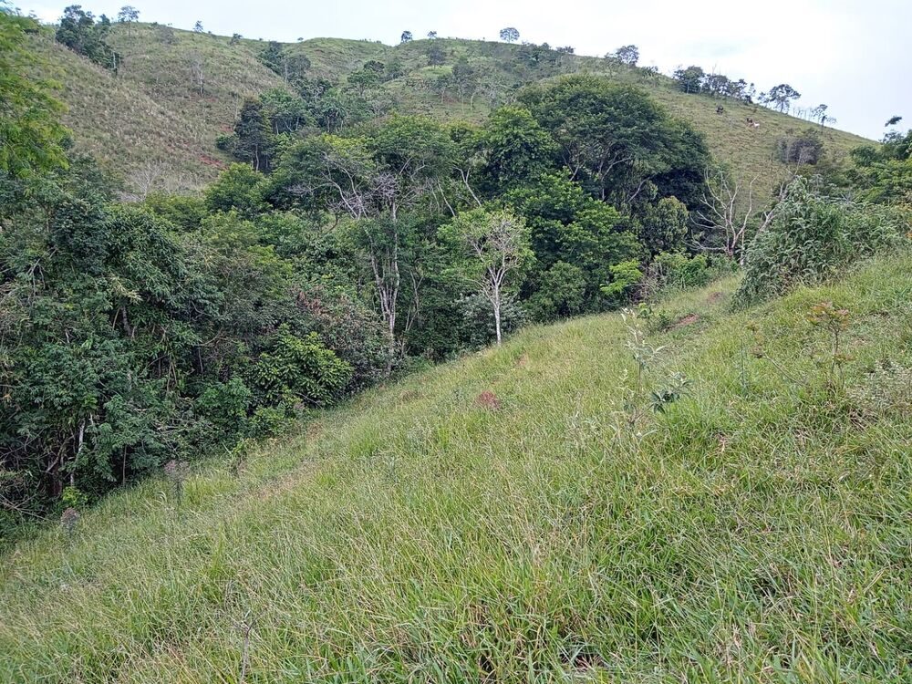 Fazenda, 8 m² - Foto 18