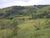 Fazenda-Sítio-Chácara, 8 m² - Foto 2