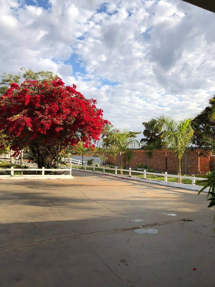 Chácara à venda com 5 quartos, 425m² - Foto 5