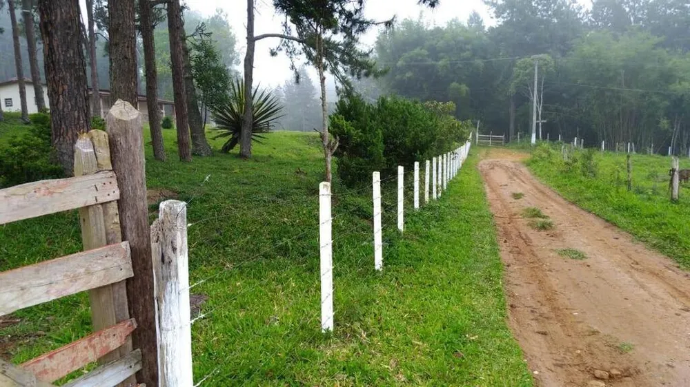 Sítio, 15 hectares - Foto 1