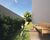Apartamento, 2 quartos, 32 m² - Foto 9