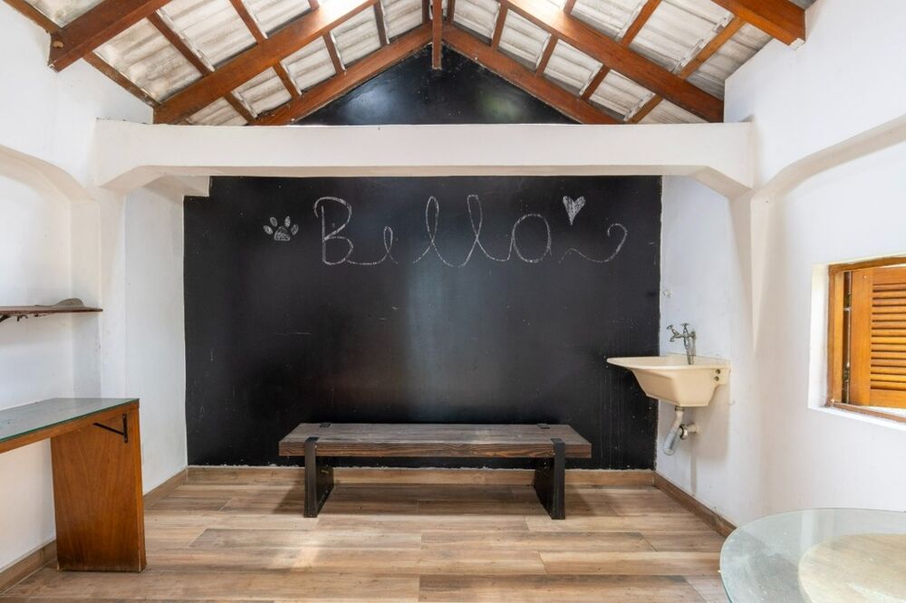 Casa, 3 quartos, 500 m² - Foto 2