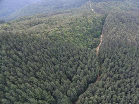 Fazenda à venda, 1290m² - Foto 3