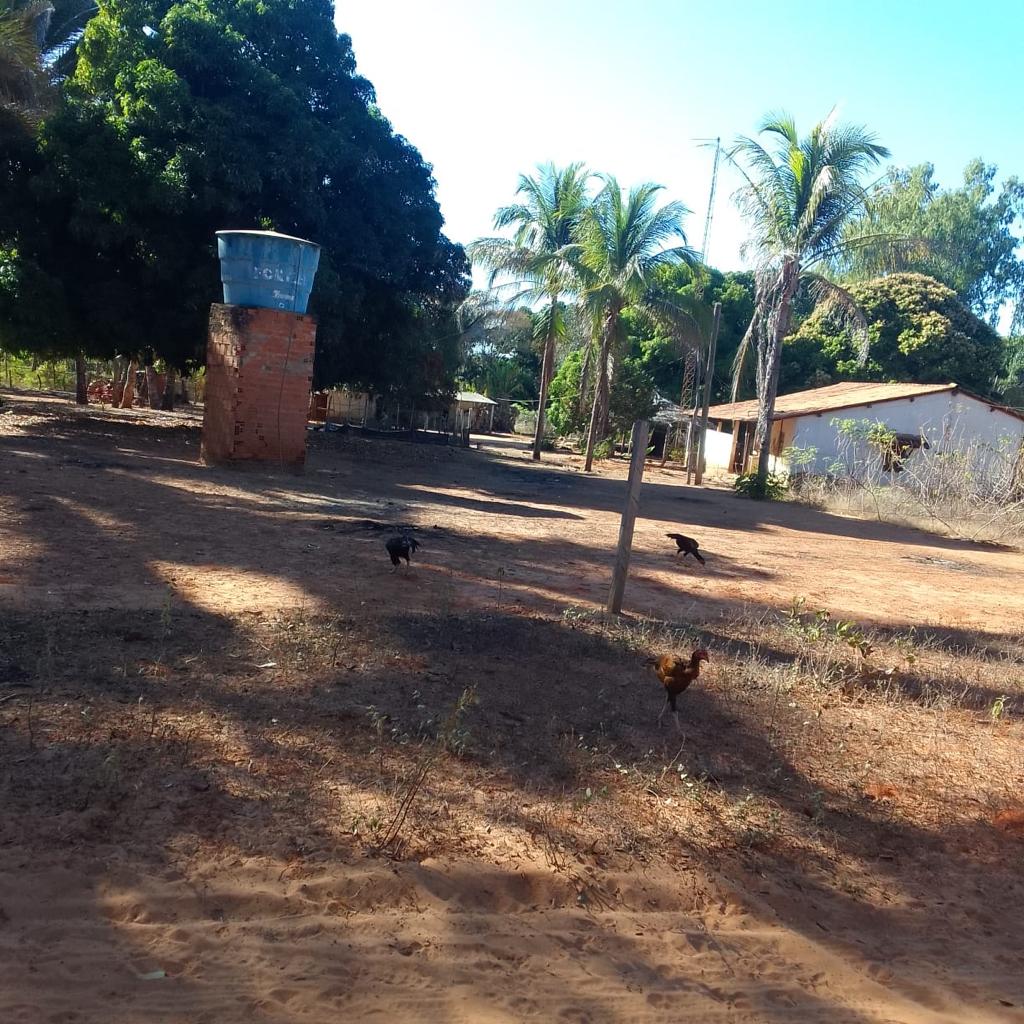 Fazenda à venda, 3000m² - Foto 1