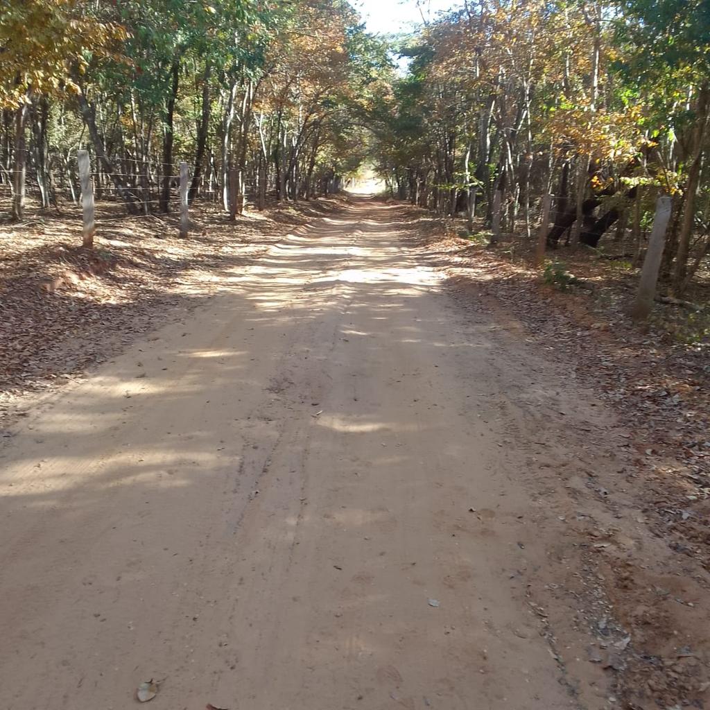 Fazenda à venda, 3000m² - Foto 6