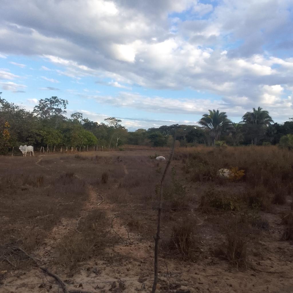 Fazenda à venda, 3000m² - Foto 8