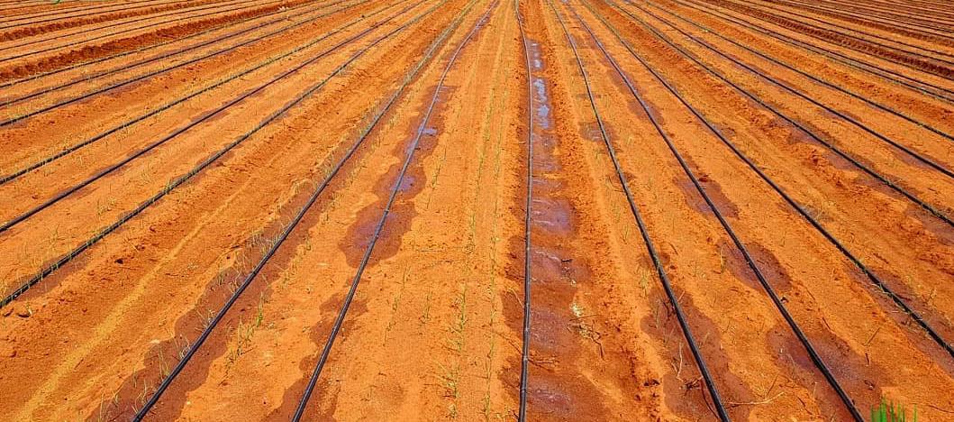 Fazenda à venda, 27000m² - Foto 7