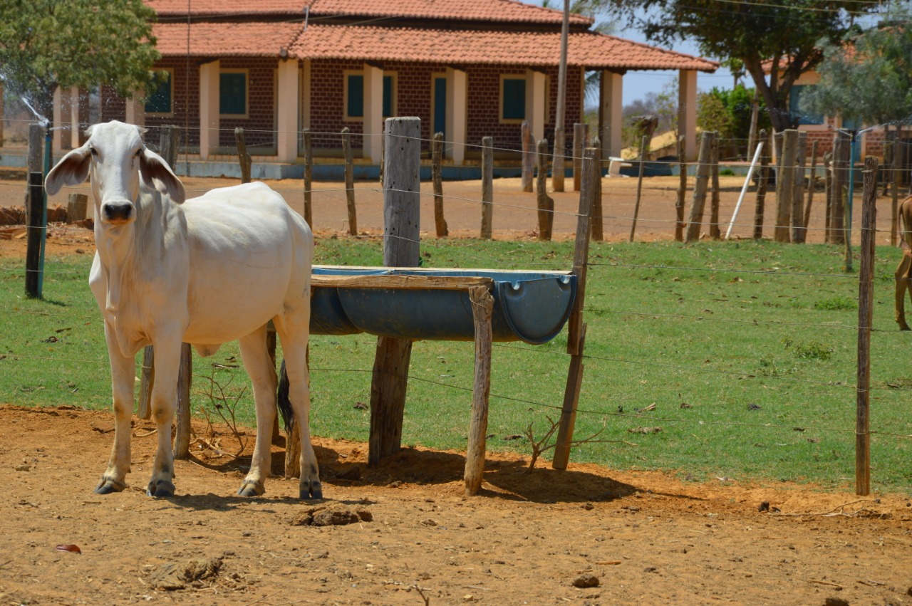 Fazenda à venda, 27000m² - Foto 4