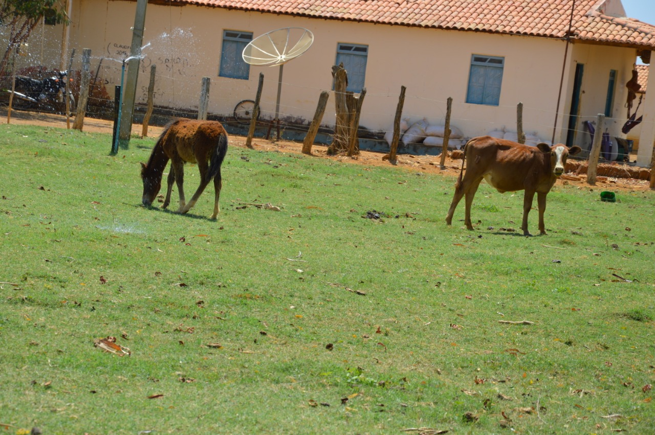 Fazenda à venda, 27000m² - Foto 1