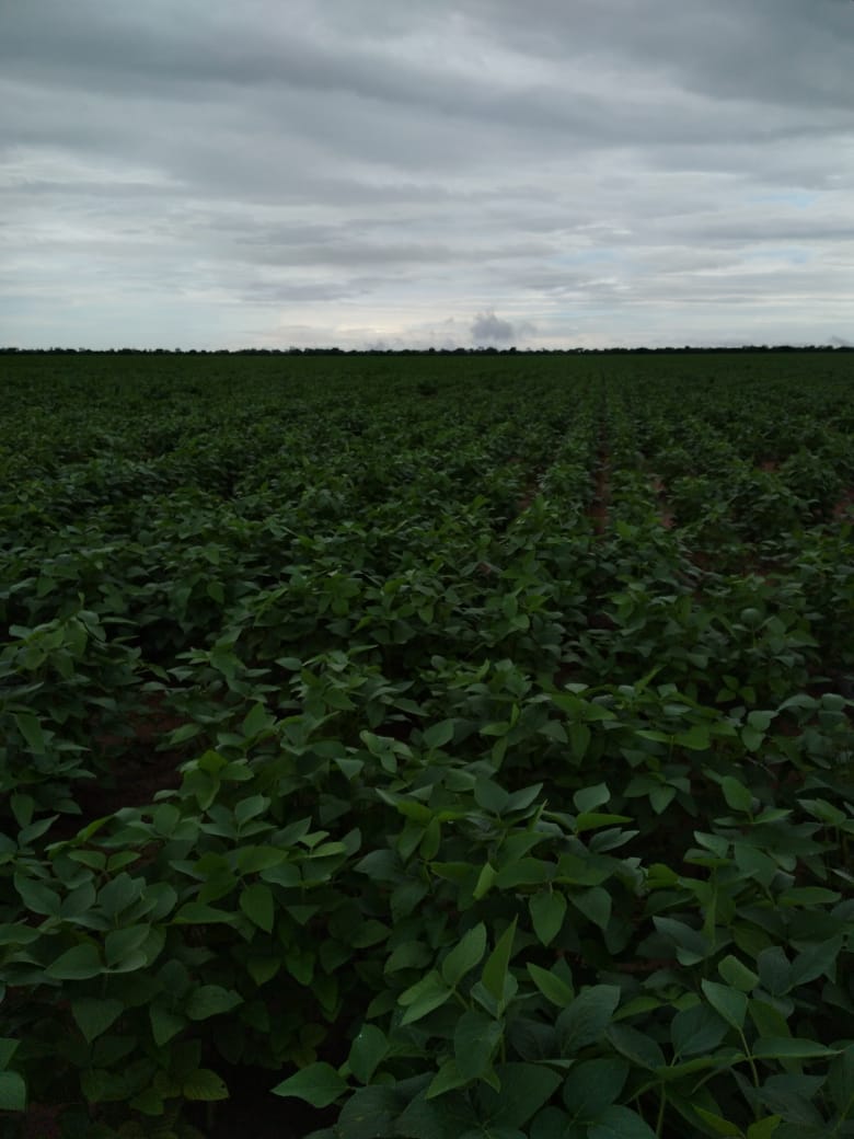 Fazenda à venda, 2750m² - Foto 1