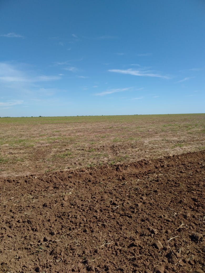 Fazenda à venda, 2750m² - Foto 6