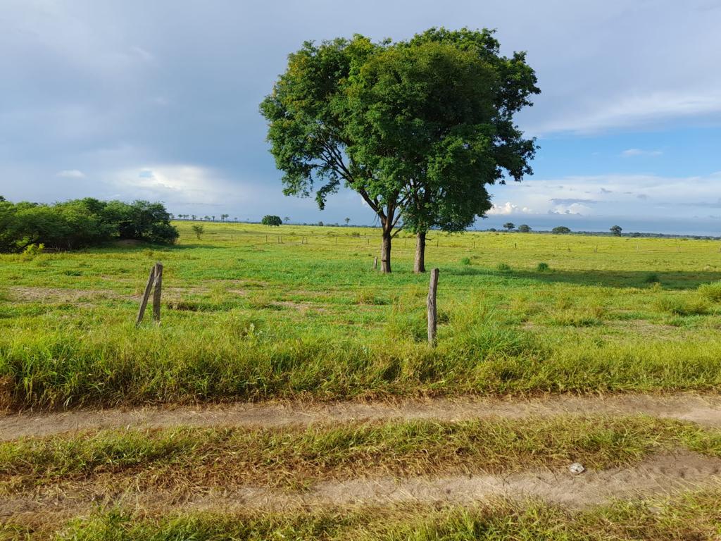 Fazenda à venda, 7300m² - Foto 11