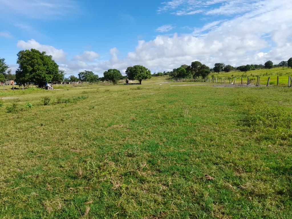 Fazenda à venda, 7300m² - Foto 9