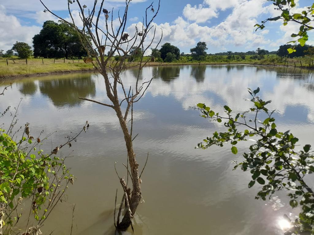 Fazenda à venda, 7300m² - Foto 2