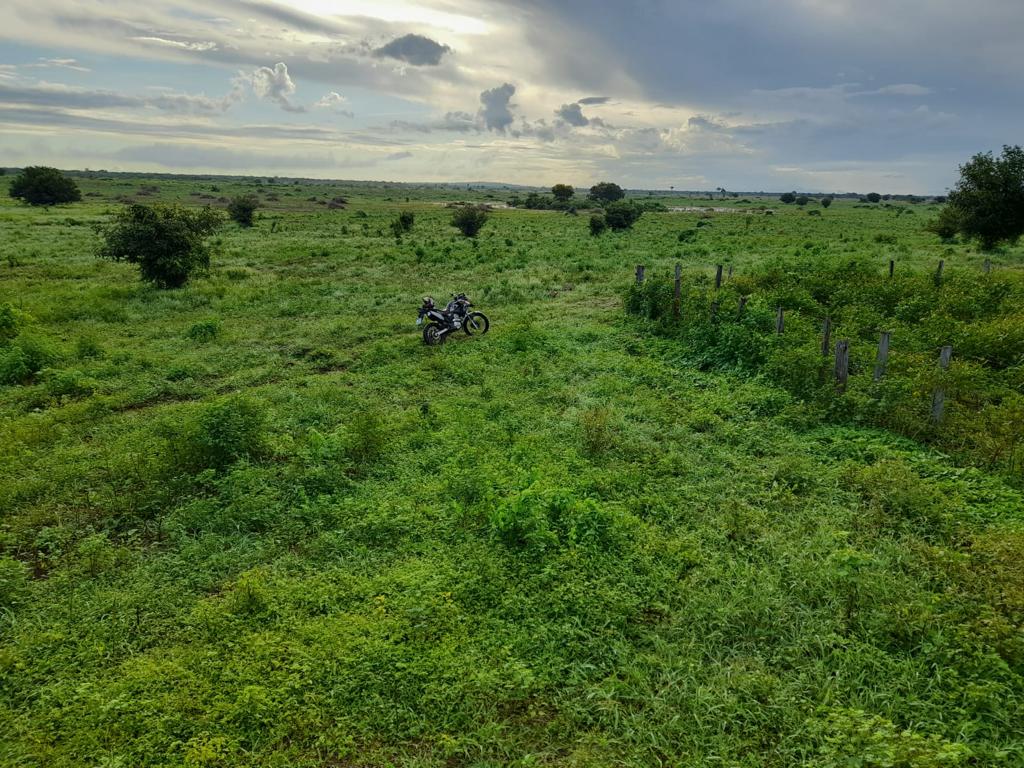 Fazenda à venda, 7300m² - Foto 7