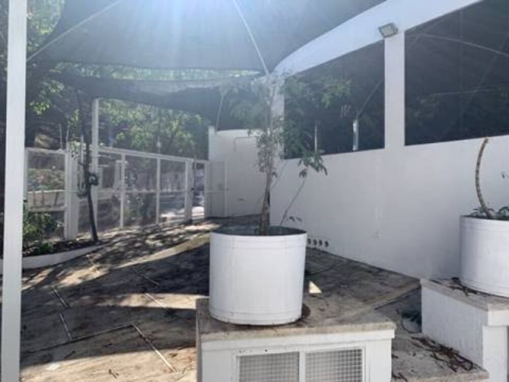 Prédio Inteiro, 550 m² - Foto 9