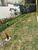 Apartamento, 1 quarto, 33 m² - Foto 7