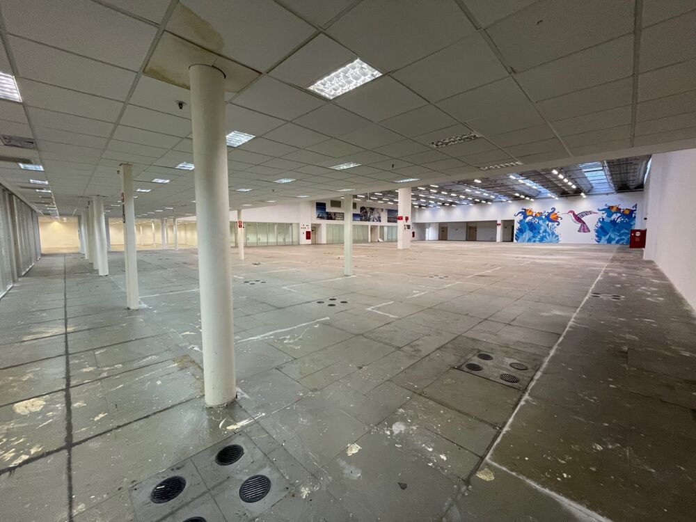 Prédio Inteiro, 5445 m² - Foto 8