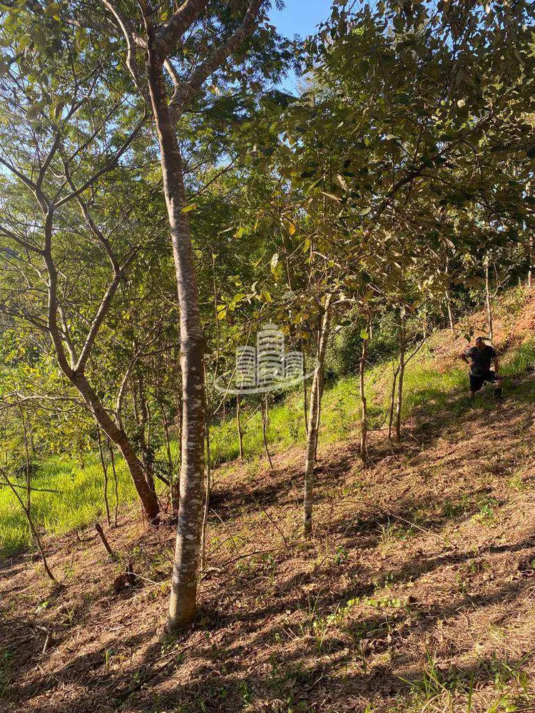 Terreno, 2500 m² - Foto 6