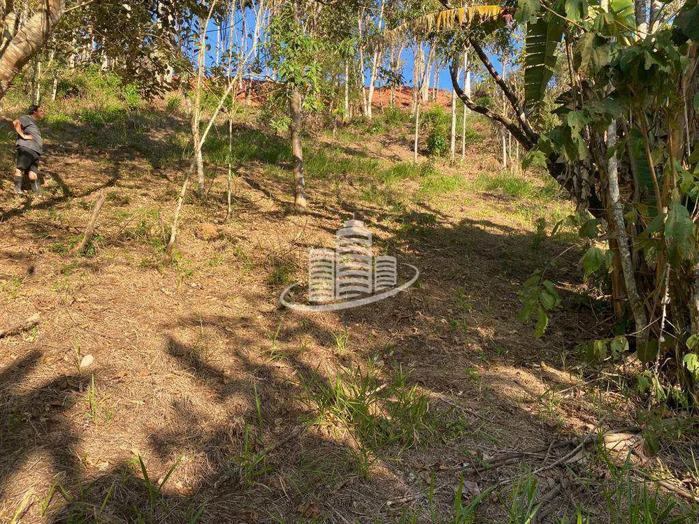 Terreno, 2500 m² - Foto 3
