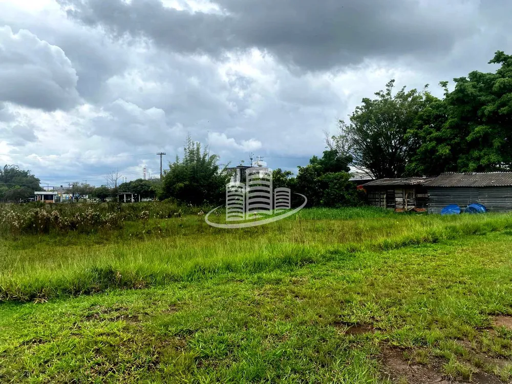 Terreno, 7 hectares - Foto 12