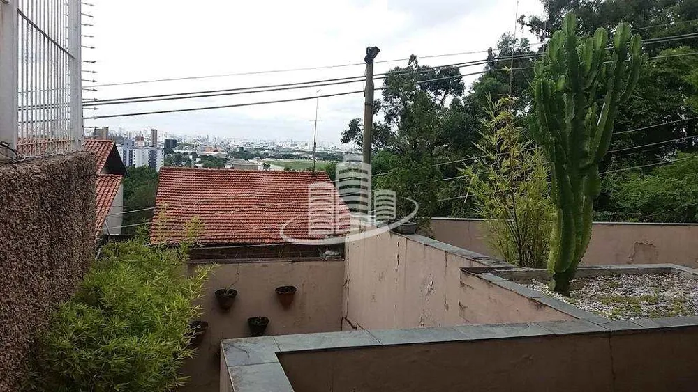 Casa, 3 quartos, 480 m² - Foto 5