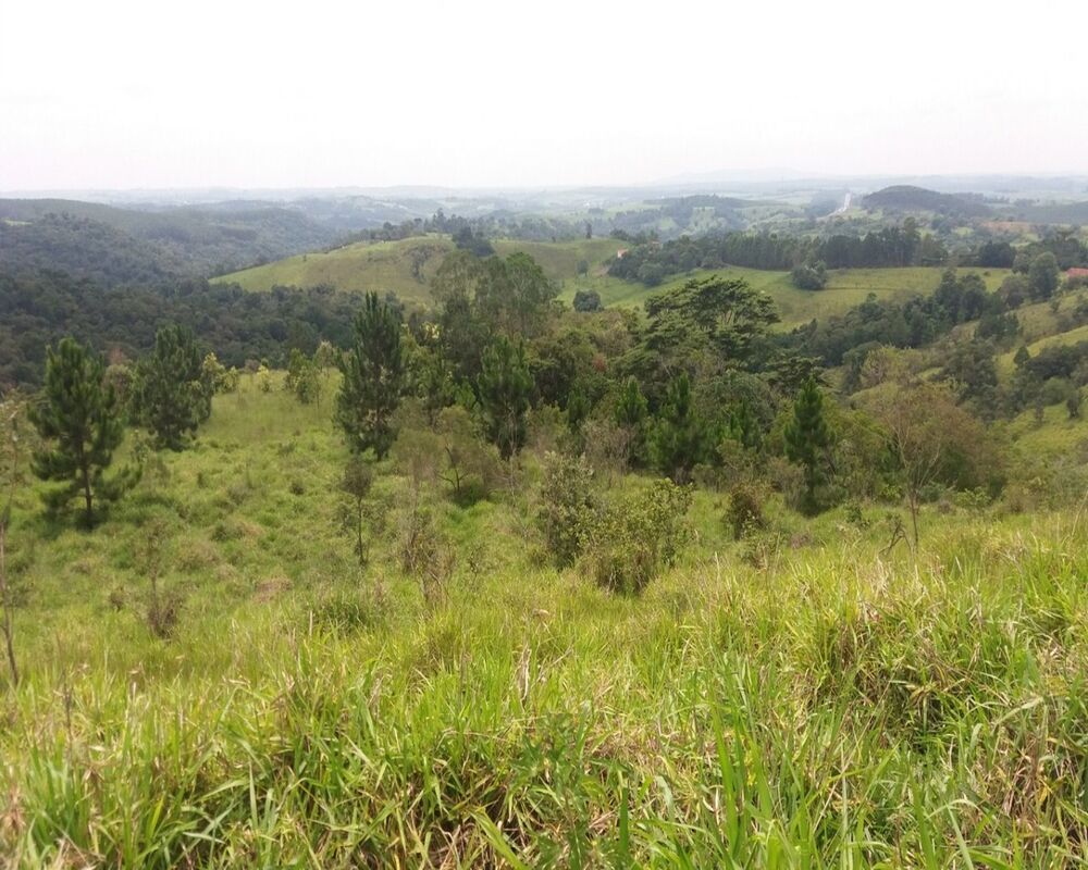 Terreno, 2 hectares - Foto 5