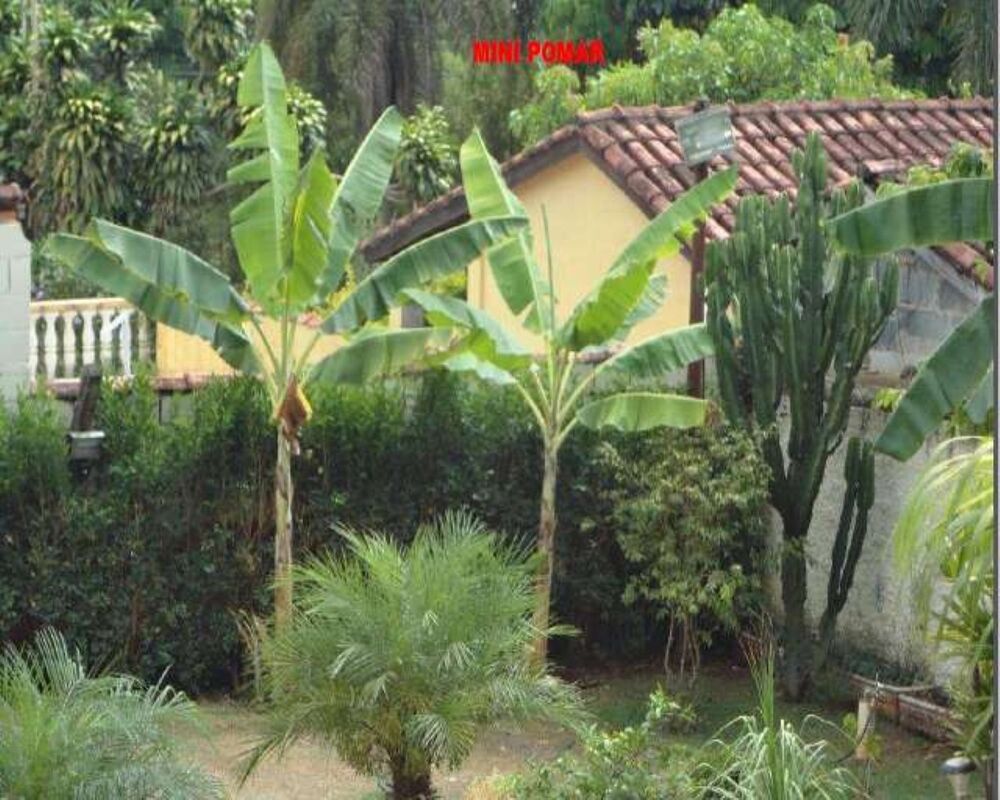 Casa de Condomínio, 7 quartos - Foto 7
