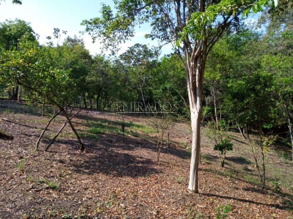 Chácara, 3 quartos - Foto 1