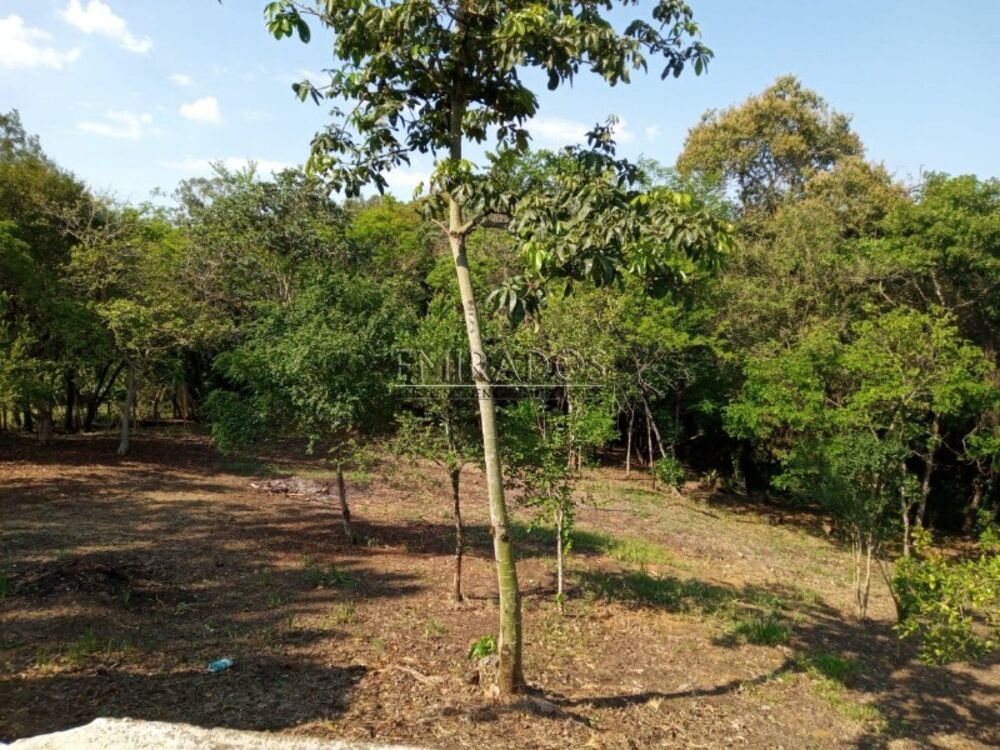 Chácara, 3 quartos - Foto 3