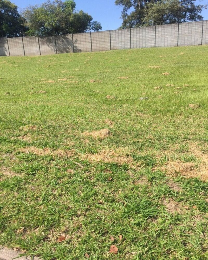 Loteamento e Condomínio, 300 m² - Foto 3