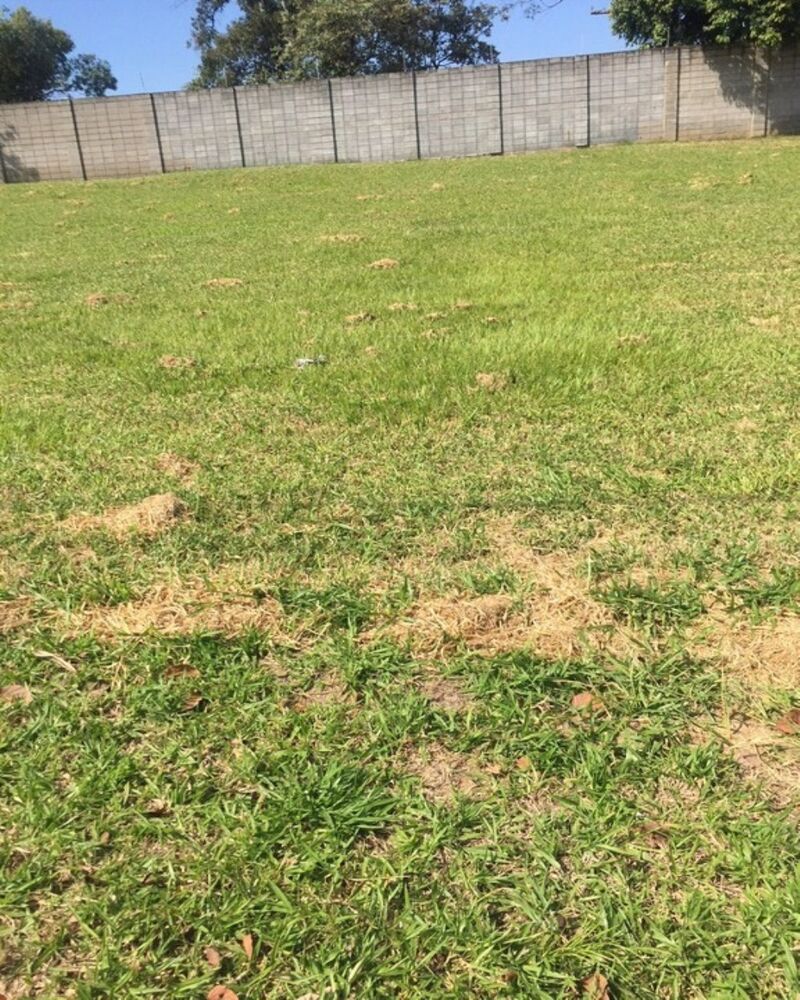 Loteamento e Condomínio, 300 m² - Foto 2