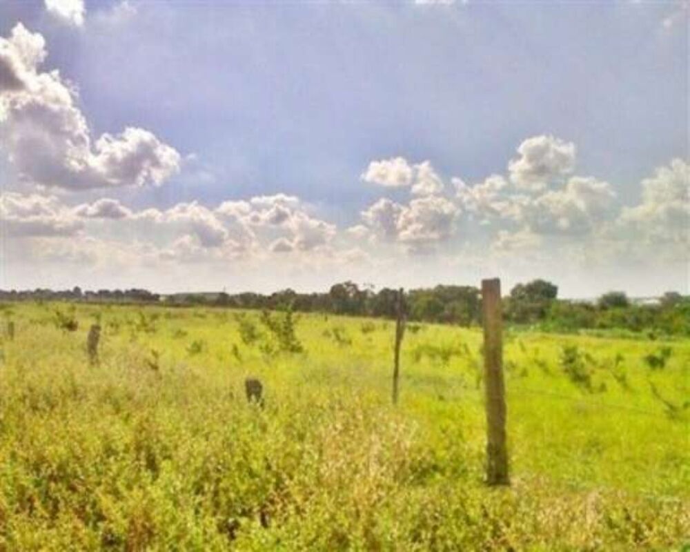 Terreno, 1100 m² - Foto 6