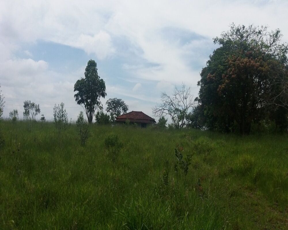 Terreno, 8 hectares - Foto 3