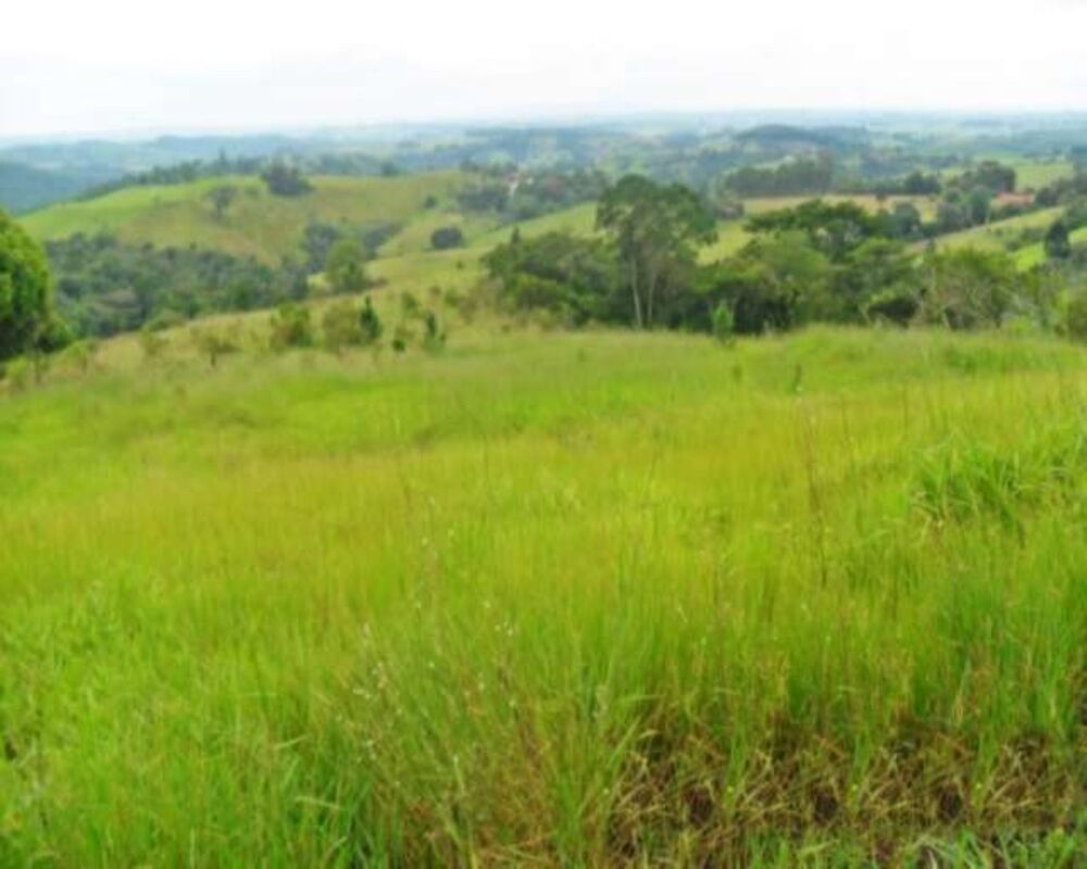 Terreno, 8 hectares - Foto 2