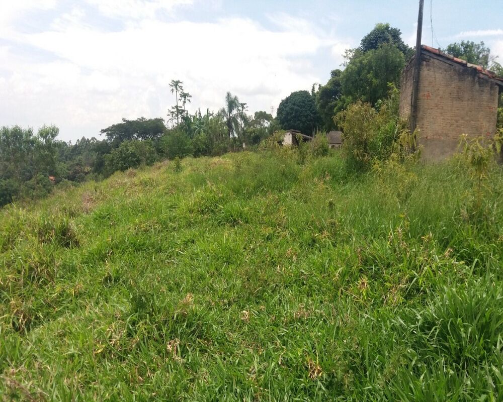 Terreno, 8 hectares - Foto 8