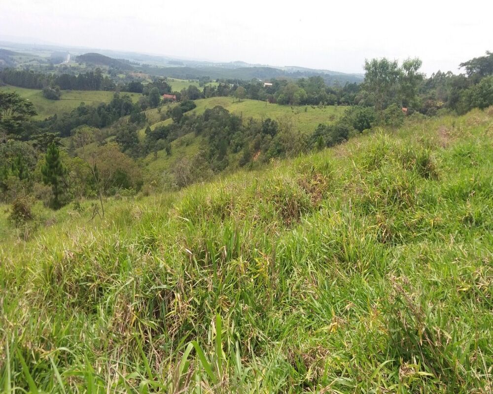 Terreno, 8 hectares - Foto 7