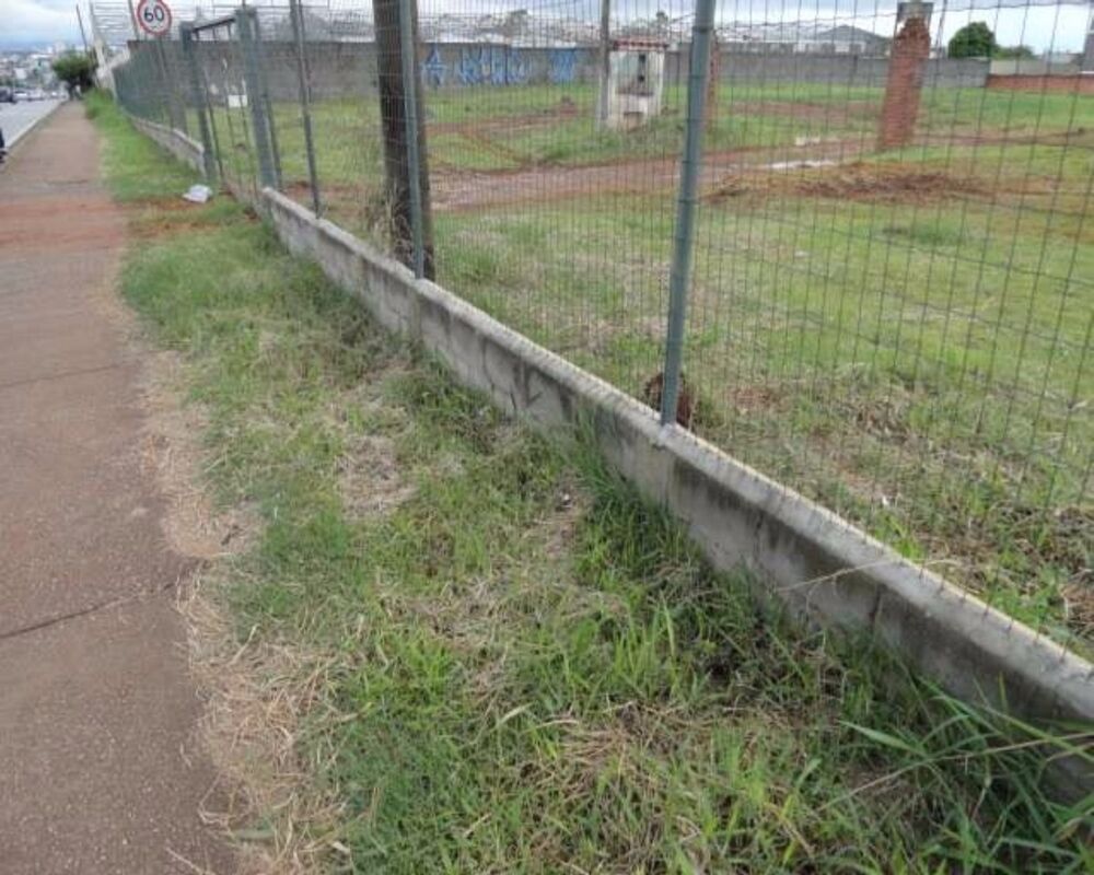 Terreno, 5000 m² - Foto 3